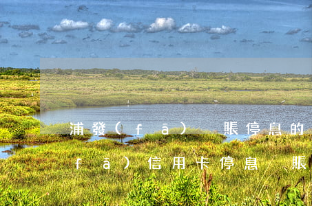 浦發(fā)掛賬停息的條件有哪些(浦發(fā)信用卡停息掛賬政策是真的嗎?)