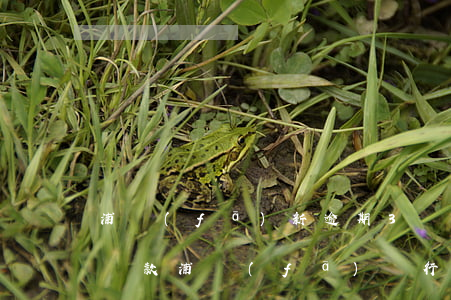 浦發(fā)新逾期3個月協(xié)商還款(浦發(fā)銀行協(xié)商還款后又逾期還能再協(xié)商嗎)