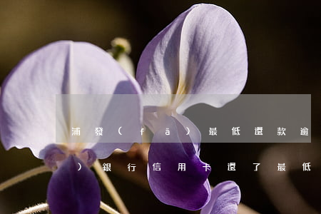 浦發(fā)最低還款逾期罰息(浦發(fā)銀行信用卡還了最低還款算逾期嗎)