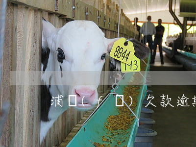 浦發(fā)欠款逾期發(fā)律師函