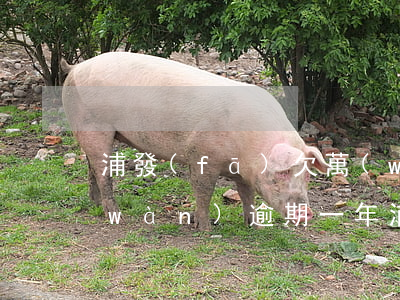 浦發(fā)欠萬(wàn)用金30萬(wàn)逾期一年(浦發(fā)欠萬(wàn)用金30萬(wàn)逾期一年)