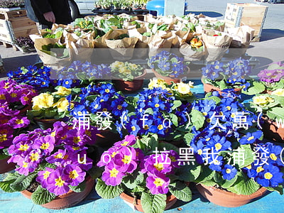 浦發(fā)欠萬(wàn)用金 說(shuō)拉黑我(浦發(fā)萬(wàn)用金逾期起訴我了我要找律師嗎?)
