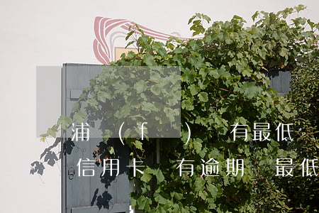 浦發(fā)沒有最低還款額（浦發(fā)信用卡沒有逾期還最低可以嗎）