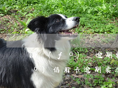 浦發(fā)沒逾期要求全額還款(浦發(fā)信用卡逾期要求全額還款是怎么還款的)