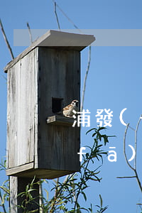 浦發(fā)發(fā)唄逾期一天（浦發(fā)發(fā)唄逾期一天）