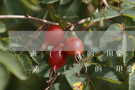 浦發(fā)的萬用金還款時間怎么查詢-浦發(fā)的萬用金還款時間怎么查詢不到