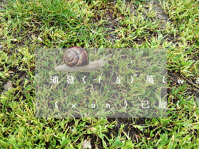 浦發(fā)萬(wàn)用金在哪里查詢(xún)已經(jīng)還款-浦發(fā)萬(wàn)用金在哪里查詢(xún)已經(jīng)還款的