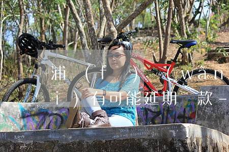 浦發(fā)萬(wàn)用金有沒(méi)有可能延期還款-浦發(fā)萬(wàn)用金有沒(méi)有可能延期還款呢