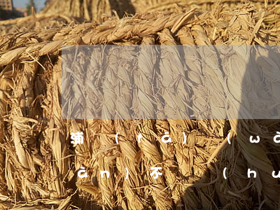 浦發(fā)萬(wàn)用金欠3萬(wàn)不還會(huì)怎么樣-
