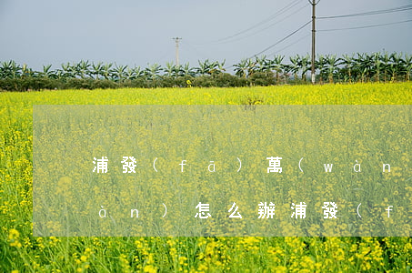 浦發(fā)萬(wàn)用金欠十萬(wàn)怎么辦(浦發(fā)萬(wàn)用金只有1000)
