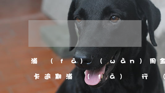 浦發(fā)萬(wàn)用金算不算信用卡逾期 浦發(fā)銀行萬(wàn)用金逾期多久會(huì)被銀行起訴