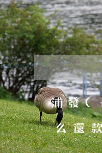 浦發(fā)萬(wàn)用金逾期起訴怎么還款(浦發(fā)萬(wàn)用金起訴不去怎么辦)