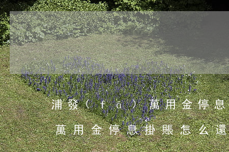 浦發(fā)萬用金停息掛賬 浦發(fā)萬用金停息掛賬怎么還款