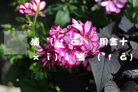 浦發(fā)萬用金十萬24期還款明細(xì)-浦發(fā)萬用金十萬24期還款明細(xì)表