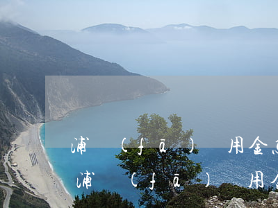 浦發(fā)萬用金怎么查詢已還款多少-浦發(fā)萬用金怎么查詢已還款多少期