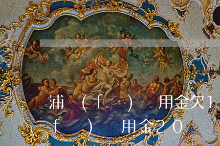 浦發(fā)萬用金欠1萬還不上(欠浦發(fā)萬用金20萬實在還不上,會不會坐牢)