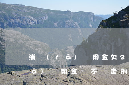 浦發(fā)萬用金欠20萬立案(浦發(fā)萬用金會不會走刑事)