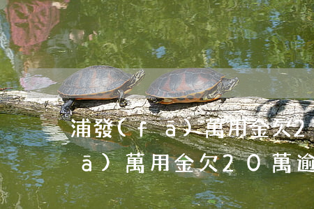 浦發(fā)萬用金欠20萬逾期(浦發(fā)萬用金欠20萬逾期)