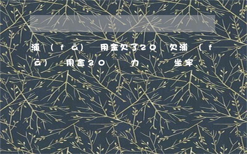 浦發(fā)萬用金欠了20萬(欠浦發(fā)萬用金20萬無力償還會坐牢嗎?)