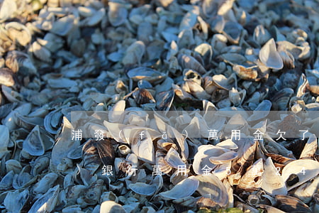 浦發(fā)萬用金欠了四萬多(浦發(fā)銀行萬用金5萬24期)