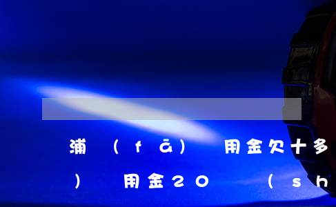 浦發(fā)萬用金欠十多萬(欠浦發(fā)萬用金20萬實(shí)在還不上,會不會坐牢)