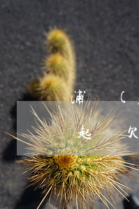 浦發(fā)萬用金欠多少會(huì)被起訴(欠浦發(fā)萬用金8萬立案了會(huì)馬上來抓人嗎)