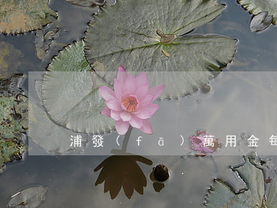 浦發(fā)萬用金每月還款金額一樣嗎-