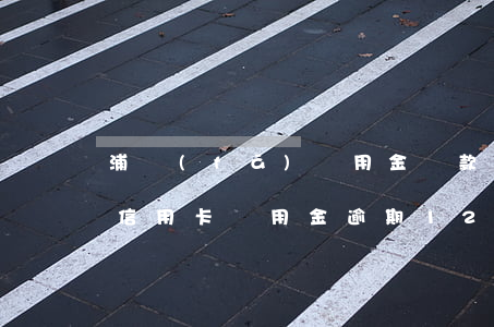 浦發(fā)萬用金貸款逾期(浦發(fā)信用卡萬用金逾期12萬無力償還,該怎么處理?)