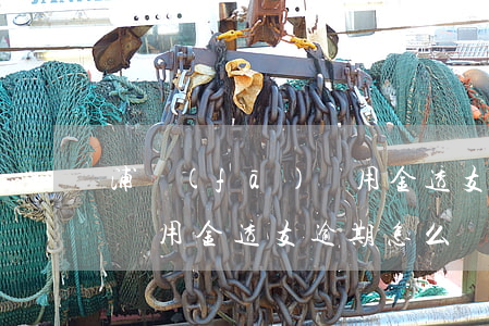 浦發(fā)萬用金透支逾期(浦發(fā)萬用金透支逾期怎么辦)
