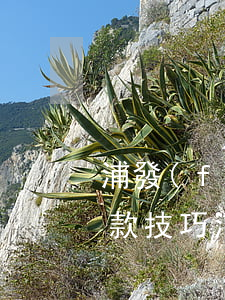浦發(fā)萬用金逾期協(xié)商還款技巧(浦發(fā)萬用金被要求一次性還清,可以協(xié)商嗎)