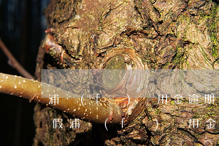 浦發(fā)萬用金逾期收到律師函是真是假(浦發(fā)萬用金逾期起訴我了我要找律師嗎?)