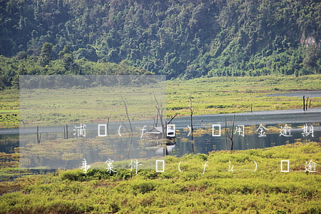 浦發(fā)萬用金逾期是民事案件還是刑事案件（負(fù)債逾期浦發(fā)萬用金）