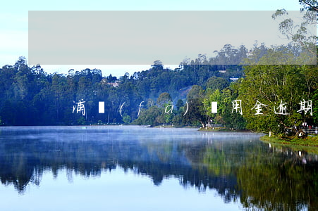 浦發(fā)萬用金逾期欠25萬