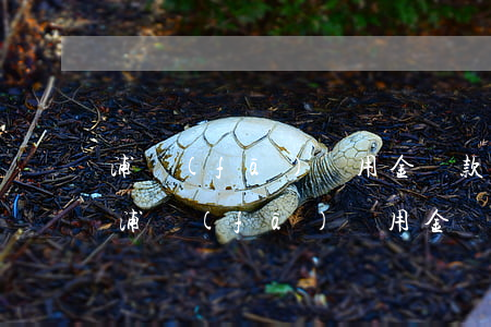 浦發(fā)萬用金還款后還可以再借么-浦發(fā)萬用金還了還可以再借嗎