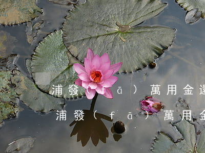 浦發(fā)萬用金還款日期是什么時候-浦發(fā)萬用金還款日期是什么時候的