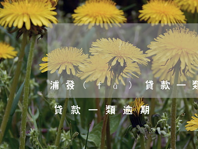 浦發(fā)貸款一類逾期-浦發(fā)貸款一類逾期