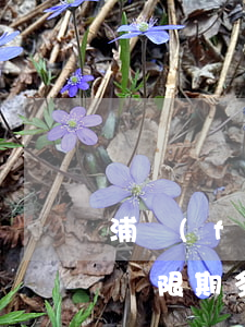 浦發(fā)貸款逾期有寬限期6(貸款逾期寬限期多久)