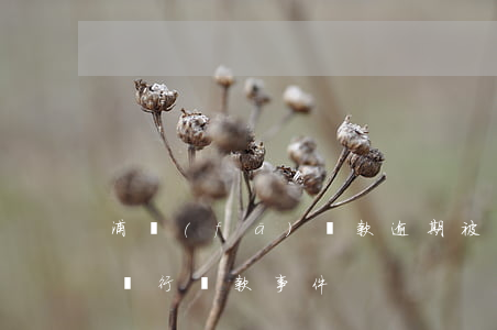 浦發(fā)貸款逾期被起訴(浦發(fā)銀行貸款事件)