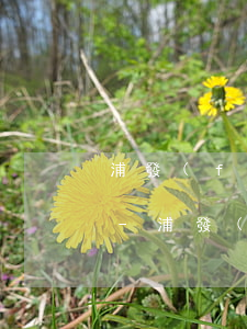浦發(fā)逾期11萬4個月會被起訴嗎-浦發(fā)逾期11萬4個月會被起訴嗎知乎