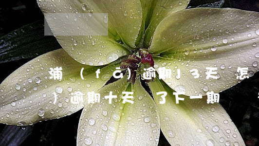 浦發(fā)逾期13天會怎樣(浦發(fā)逾期十天還了下一期賬單有影響嗎)
