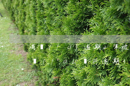 浦發(fā)逾期2年被起訴怎么辦上海 浦發(fā)銀行逾期3個(gè)月要起訴我怎么辦