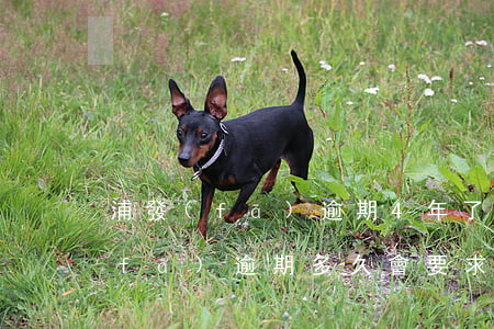 浦發(fā)逾期4年了起訴要多久(浦發(fā)逾期多久會要求一次性還全部欠款)
