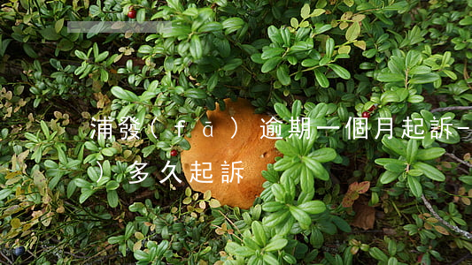 浦發(fā)逾期一個月起訴-浦發(fā)多久起訴