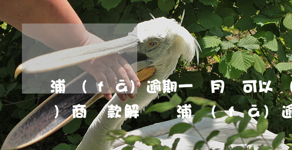 浦發(fā)逾期一個月還可以協(xié)商還款解決嗎?（浦發(fā)逾期還了還能用嗎）
