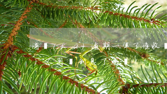 浦發(fā)逾期一年了催收說(shuō)不用還利息了（浦發(fā)信用卡逾期4個(gè)月后利息）