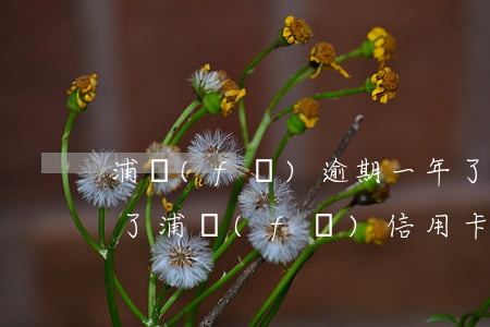 浦發(fā)逾期一年了催收說不用還利息了（浦發(fā)信用卡逾期無力償還怎么辦）