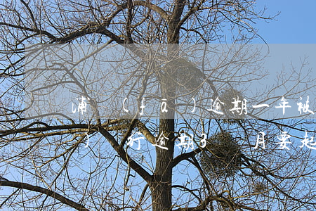 浦發(fā)逾期一年被起訴了(浦發(fā)銀行逾期3個月要起訴我怎么辦)