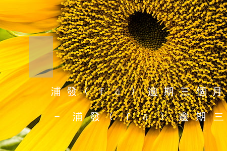 浦發(fā)逾期三個月可以找銀行還款嗎-浦發(fā)逾期三個月可以找銀行還款嗎知乎