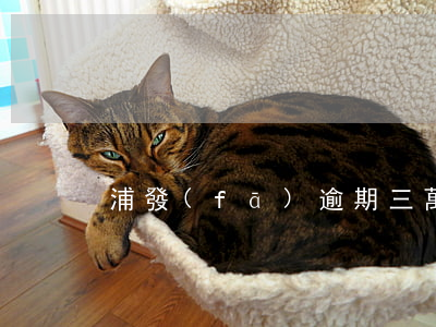 浦發(fā)逾期三萬不到一個月會怎么樣