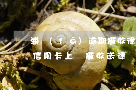 浦發(fā)逾期催收律師函(浦發(fā)信用卡上門催收送律師函怎么辦)